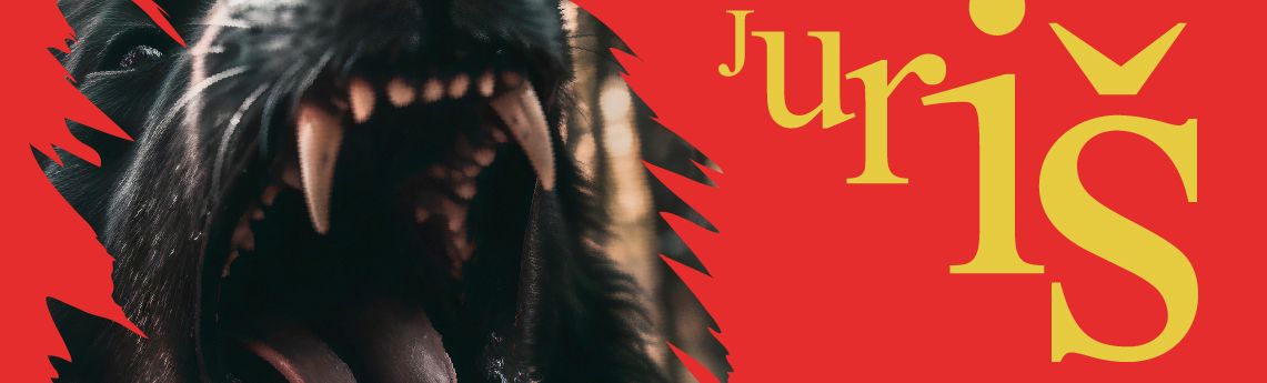 Juriš